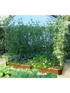 Stack & Extend Veggie Wall 11 Stack & Extend Veggie Wall -Garden Care Shop 8595683 02V 3 4