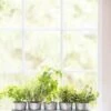 Galvanized Herb Planters With Rectangular Tray -Garden Care Shop 8595903 5946 tif