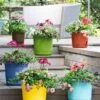 Eezy Gro Self-Watering Planters -Garden Care Shop 8596427 5498 tif