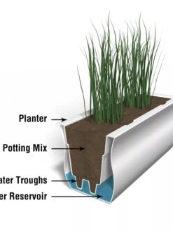 Valencia Window Box, 3' 10 Valencia Window Box, 3' -Garden Care Shop 8596436 17V tif 1