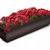 Valencia Window Box, 4' 2 Valencia Window Box, 4' -Garden Care Shop 8596437 10V tif