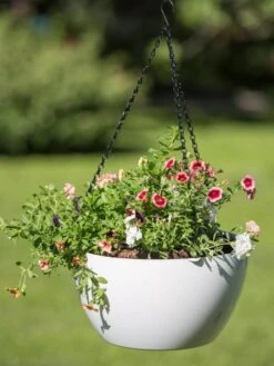 Viva Self-Watering Hanging Basket, 14" Diameter -Garden Care Shop 8596442 0864 tif