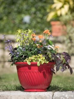Mazzano Self-Watering Planters 13 Mazzano Self-Watering Planters -Garden Care Shop 8596564 4883 tif