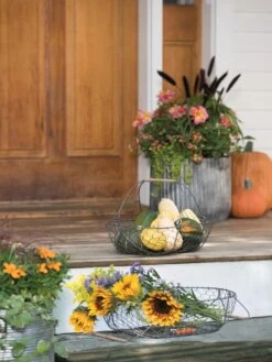 Galvanized Rim Planters 11 Galvanized Rim Planters -Garden Care Shop 8597379 1625 tif