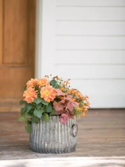 Galvanized Ribbed Planters -Garden Care Shop 8597434 1695 tif