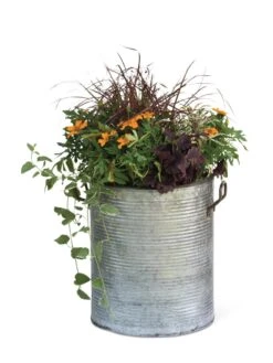 Galvanized Rim Planters 13 Galvanized Rim Planters -Garden Care Shop 8597443 1704 tif