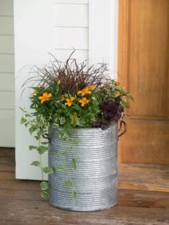 Galvanized Rim Planters 10 Galvanized Rim Planters -Garden Care Shop 8597443 1708 tif