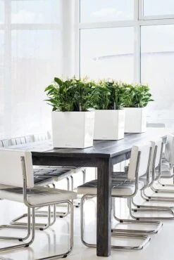 Lechuzaยฎ Cube Premium Planters