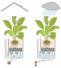 Lechuza® Cube Premium Planters 11 Lechuza® Cube Premium Planters -Garden Care Shop 8597506 05V tif