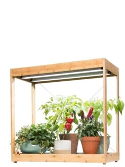 Medium Bamboo LED Grow Light Garden 28 Medium Bamboo LED Grow Light Garden -Garden Care Shop 8597883 1013 tif