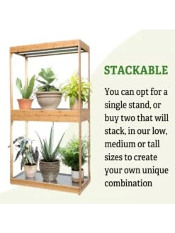 Medium Bamboo LED Grow Light Garden 22 Medium Bamboo LED Grow Light Garden -Garden Care Shop 8597883 6