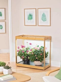 Medium Bamboo LED Grow Light Garden 26 Medium Bamboo LED Grow Light Garden -Garden Care Shop 8597883 9279 tif