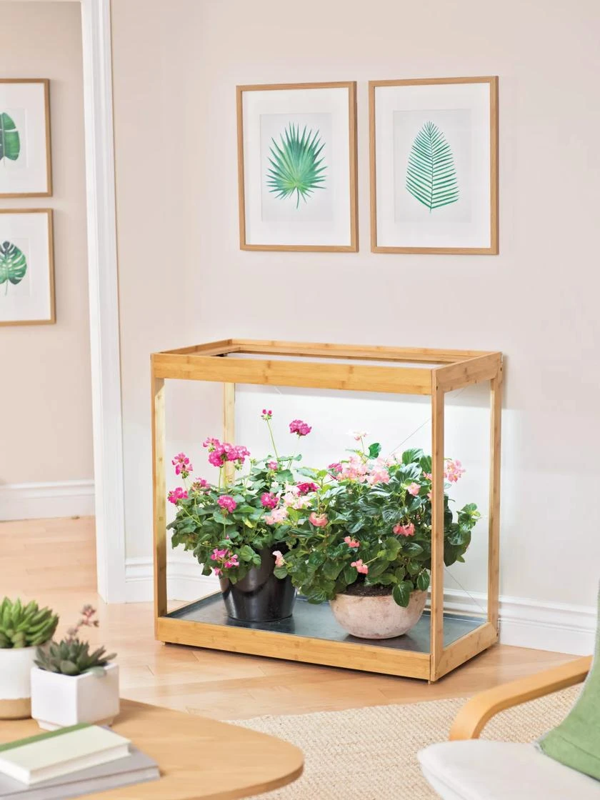 Medium Bamboo LED Grow Light Garden 11 Medium Bamboo LED Grow Light Garden - Image 9