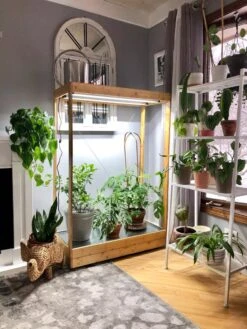 Tall Bamboo LED Grow Light Garden 14 Tall Bamboo LED Grow Light Garden -Garden Care Shop 8597884 01IN tif