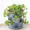 Stacking Strawberry Pot -Garden Care Shop 8597996 9004 tif