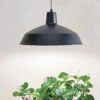 Barnyard Pendant LED Grow Light 1 Barnyard Pendant LED Grow Light -Garden Care Shop 8598025 8139 tif