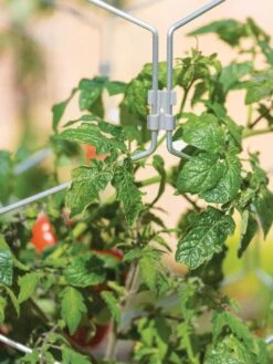 Gardener's Vertex Lifetime Tomato Cage 10 Gardener's Vertex Lifetime Tomato Cage -Garden Care Shop 8598426 0011 tif