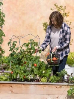 Gardener's Vertex Lifetime Tomato Cage 11 Gardener's Vertex Lifetime Tomato Cage -Garden Care Shop 8598426 0026 tif