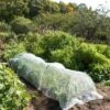 Insect Protection Tunnel 2 Insect Protection Tunnel -Garden Care Shop 8598536 8225 tif