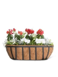 AquaSave™ Oxford Window And Deck Planters 9 AquaSave™ Oxford Window And Deck Planters -Garden Care Shop 8598626 8809 tif