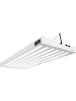 AgroBrite T5 324W 6-Tube Fixture With Bulbs, 4'