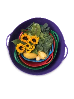 Colorful Tubtrug, 7 Gallon -Garden Care Shop 8599088 20GalTubTrug gif