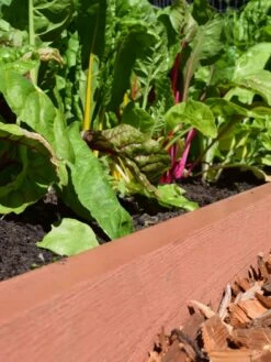 Straight Landscape Edging Kit With 2" Boards -Garden Care Shop 8599408 02V tif