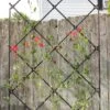 Achla Designs Freestanding Lattice Trellis -Garden Care Shop 8599475 01V tif