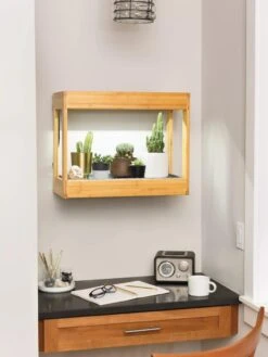 Bamboo Mini LED Grow Light Garden -Garden Care Shop 8599624 12872 tif