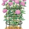 Titan Peony Supports, Large, Set Of 2 1 Titan Peony Supports, Large, Set Of 2 -Garden Care Shop 8599857 0001 art tif