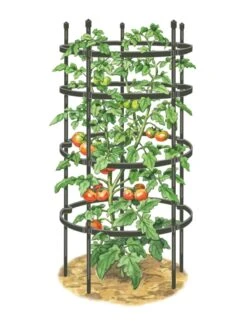 Titan Tomato Cages, Set Of 3 13 Titan Tomato Cages, Set Of 3 -Garden Care Shop 8599861 0001 art tif