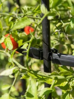 Titan Tall Tomato Cages, Set Of 3 -Garden Care Shop 8599861 0079 tif