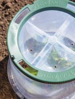 Sunny Forcing Cloches, Set Of 3 11 Sunny Forcing Cloches, Set Of 3 -Garden Care Shop 8600075 0742 tif