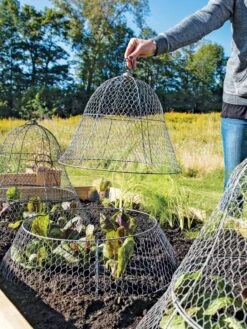 Chicken Wire Cloche With Extension 19 Chicken Wire Cloche With Extension -Garden Care Shop 8600116 0604 3 4