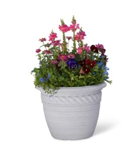 Cortina Self-Watering Planters 13 Cortina Self-Watering Planters -Garden Care Shop 8600316 19838 tif