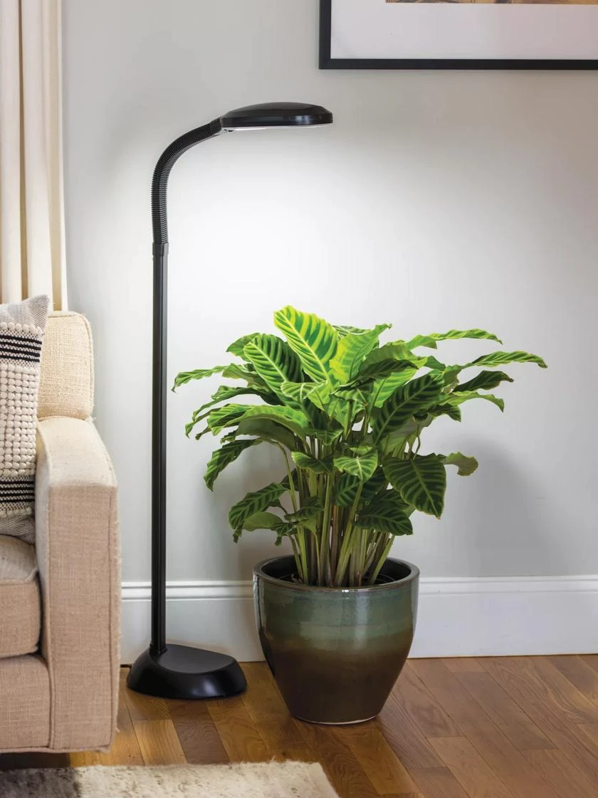 Agrobrite Floor LED Plant Lamp 3 Agrobrite Floor LED Plant Lamp