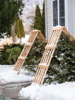 Cedar Shrub Guard -Garden Care Shop 8609071 3533