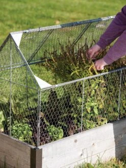 Chicken Wire Crop Coop -Garden Care Shop 8609080 0187