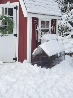 Chicken Wire Crop Coop -Garden Care Shop 8609080 03IN tif