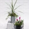 Metal Bucket Planters 1 Metal Bucket Planters -Garden Care Shop 8609086 5623 tif