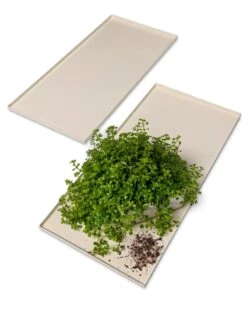 Oslo Grow Light Garden Trays, Set Of 2 7 Oslo Grow Light Garden Trays, Set Of 2 -Garden Care Shop 8609187 7686 tif