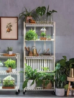 Oslo 4-Tier LED Grow Light Garden -Garden Care Shop 8609188 4118 tif