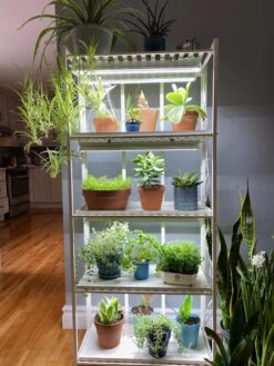 Oslo 4-Tier LED Grow Light Garden -Garden Care Shop 8609220 03IN tif