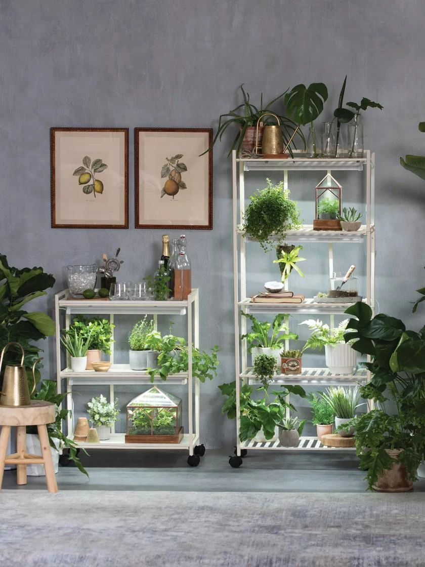 Oslo 2-Tier LED Grow Light Garden, 2 Fixtures 4 Oslo 2-Tier LED Grow Light Garden, 2 Fixtures - Image 2