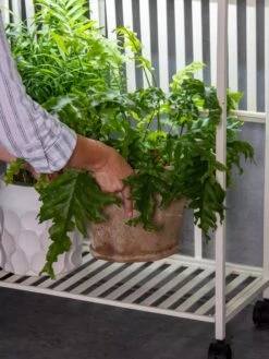 Oslo 2-Tier LED Grow Light Garden, 2 Fixtures 23 Oslo 2-Tier LED Grow Light Garden, 2 Fixtures -Garden Care Shop 8609220 4122 tif