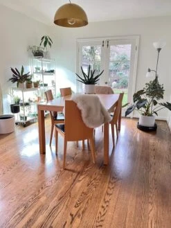 Oslo 2-Tier LED Grow Light Garden, 2 Fixtures 25 Oslo 2-Tier LED Grow Light Garden, 2 Fixtures -Garden Care Shop 8609221 01IN tif