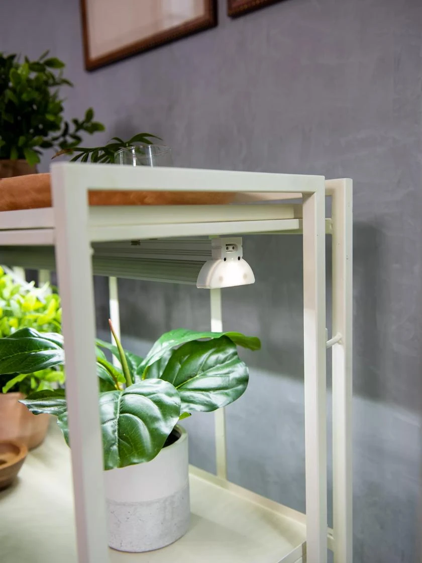 Oslo 2-Tier LED Grow Light Garden, 2 Fixtures 6 Oslo 2-Tier LED Grow Light Garden, 2 Fixtures - Image 4