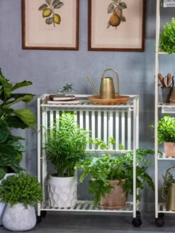 Oslo 2-Tier LED Grow Light Garden, 2 Fixtures 21 Oslo 2-Tier LED Grow Light Garden, 2 Fixtures -Garden Care Shop 8609221 7236 tif