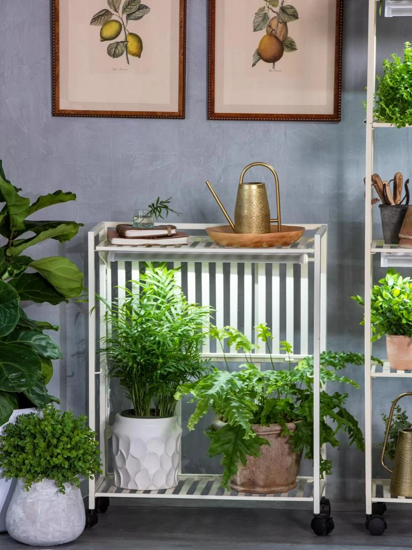 Oslo 2-Tier LED Grow Light Garden, 2 Fixtures 9 Oslo 2-Tier LED Grow Light Garden, 2 Fixtures - Image 7