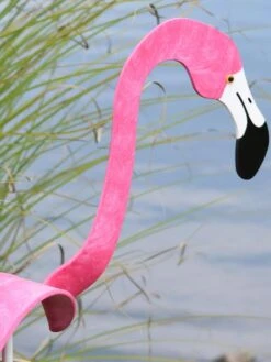 Florida Dancing Birds®, Flamingos 7 Florida Dancing Birds®, Flamingos -Garden Care Shop 8609442HP 02V jpg
